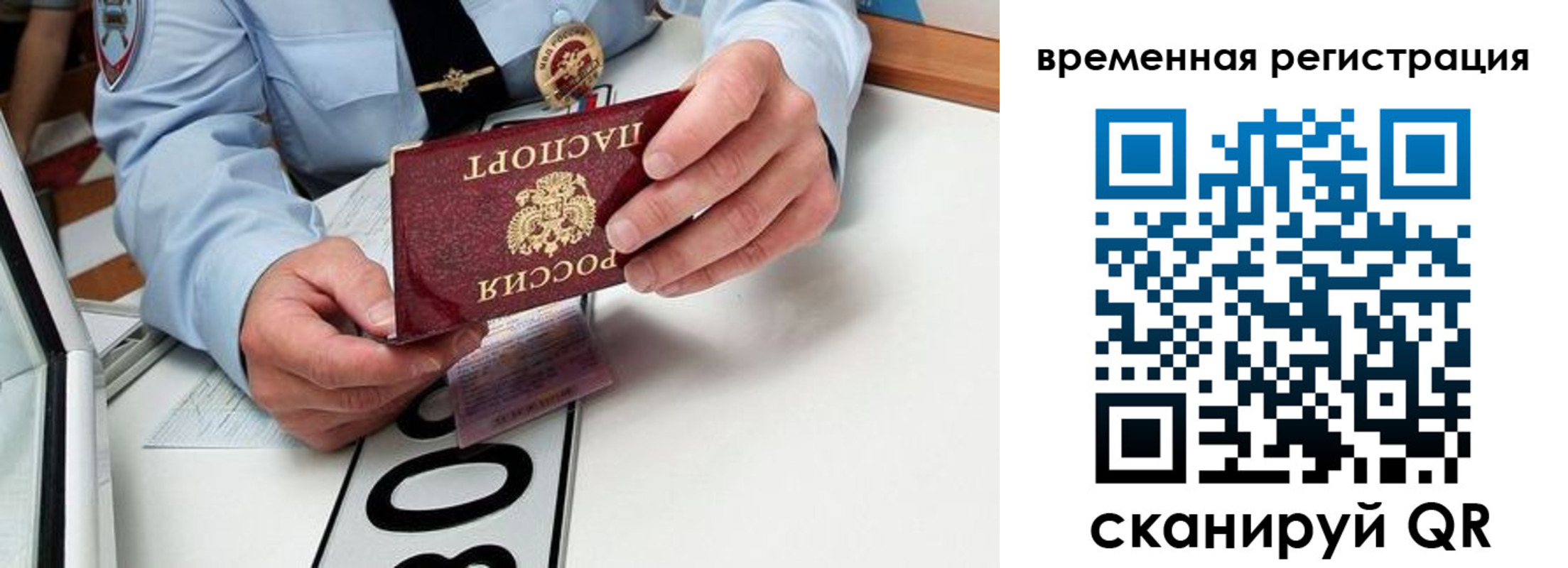 прописка гарантия в Новосибирской области